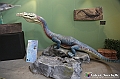 VBS_0943 - Dinosauri. Terra dei giganti